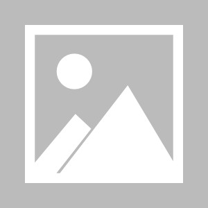 世界杯直播平台手机版官网-【早报】穆式罗马六连胜！热刺：只要他过得比我好…