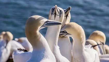 国足U23比赛表现获赞“提振精气神”