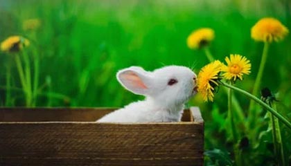 公俐：力拼米兰 不留遗憾